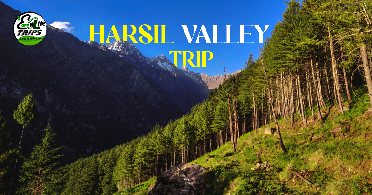 Harsil valley Tour Package